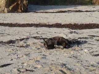 EWANE à la mer, Mars 2010 4