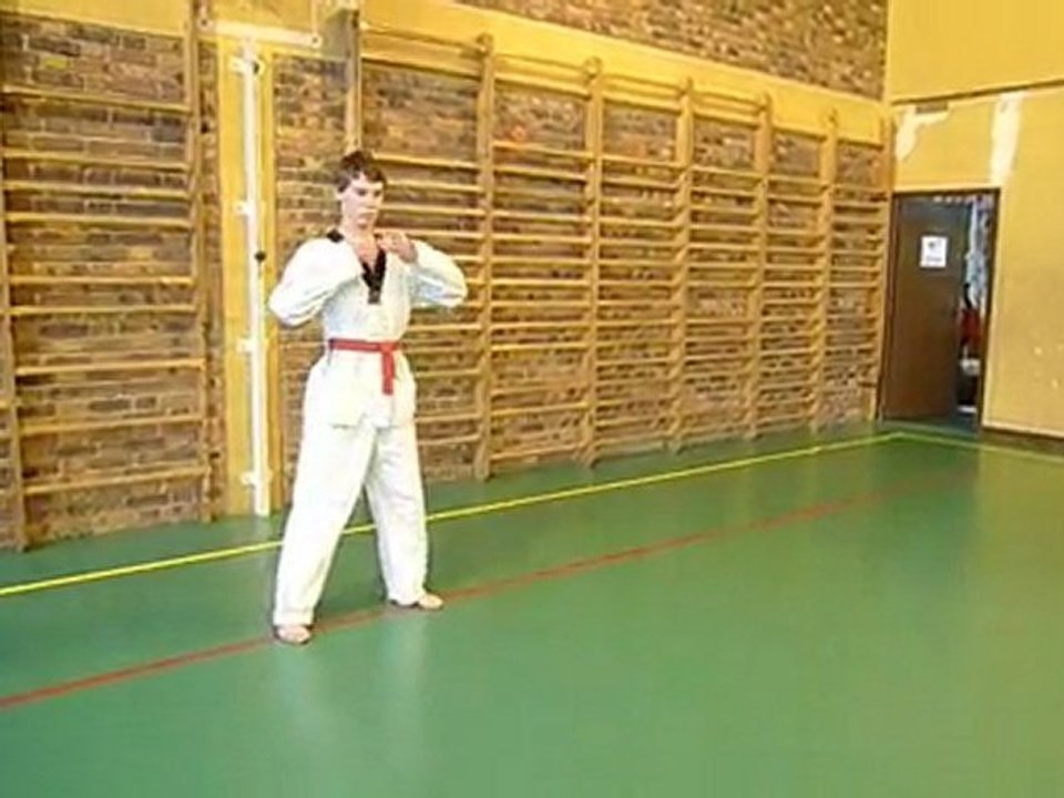 Djoson 27 mars 2010 HOSHINSOUL6