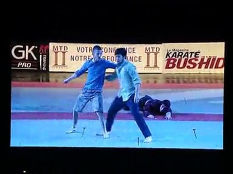 25e Festival des Arts Martiaux 27/03/2010