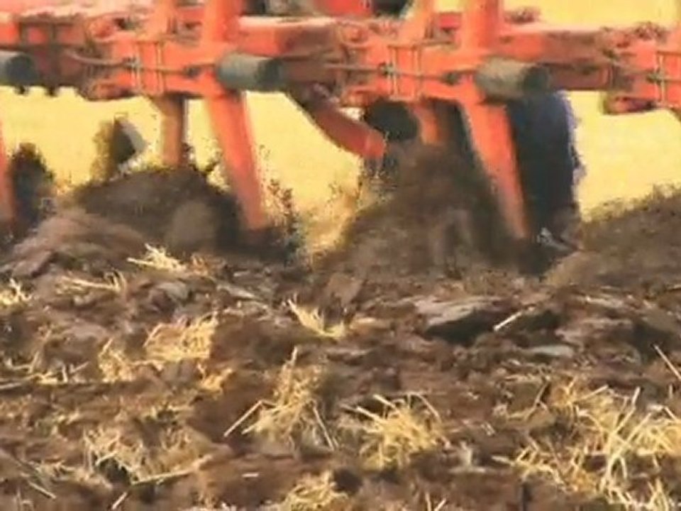 Solutions Locales pour un Désordre Global - TRAILER