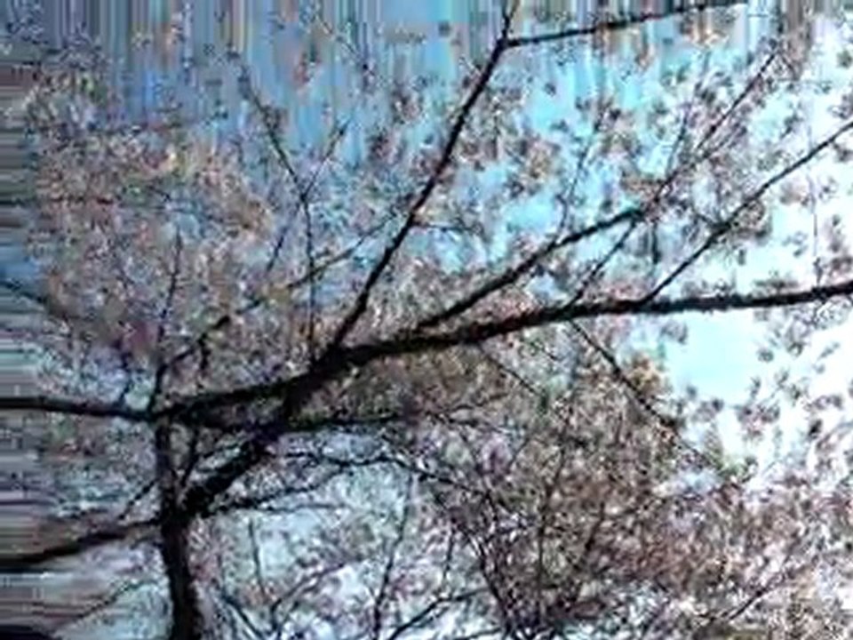 ueno
