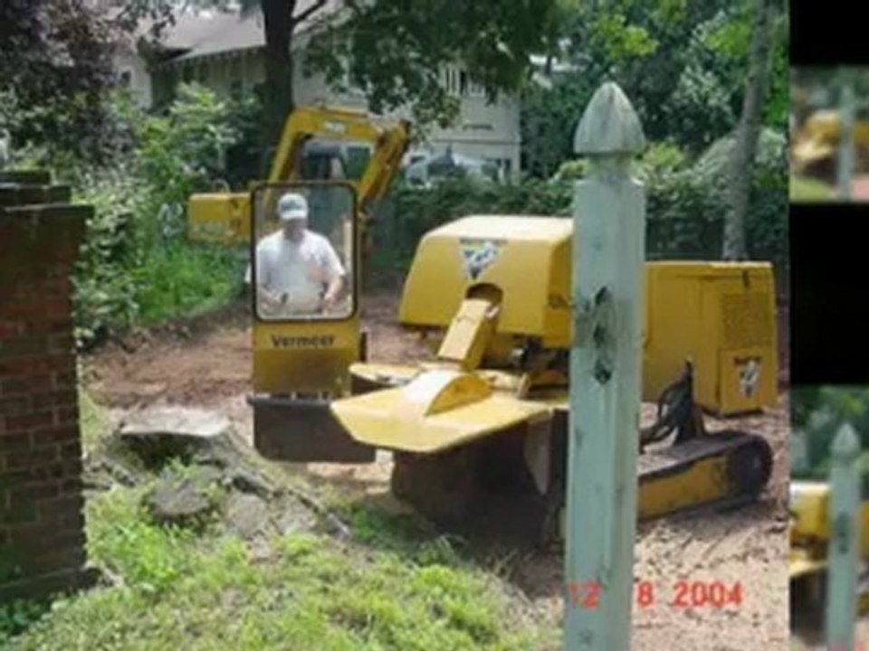 New Milford Stump Grinding - H & H Stump Grinding