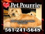 Dog Groomer Boca Raton, FL, Pet Pourrie, Pet Salon! Poodle,