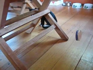 nouveau pensionnaire