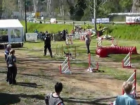 Villeneuve Loubet - Brownie - Jumping