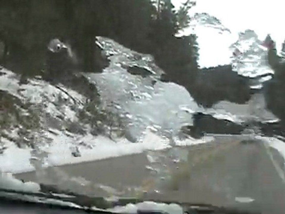 pavos volando