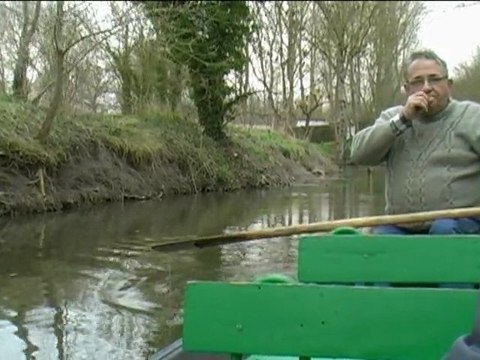 Marais Poitevin : Arçais au fil de l'eau
