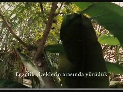 Chloe Altyazılı Fragman - HD FRAGMAN