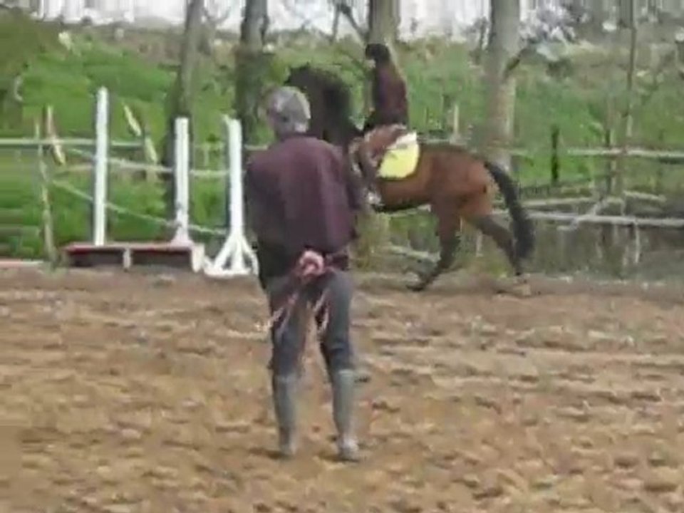 1er Galop Tite Cokine février 2010