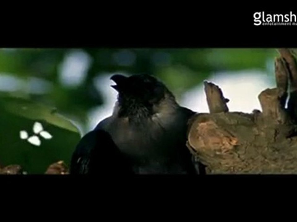 Phoonk 2- Theatrical Trailer