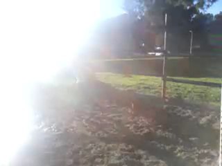 Mon chien qui sote avc solene