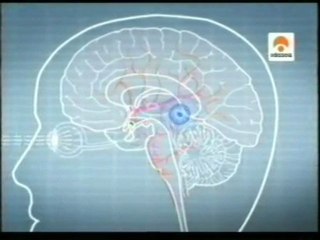 Luz: Sueño y melatonina