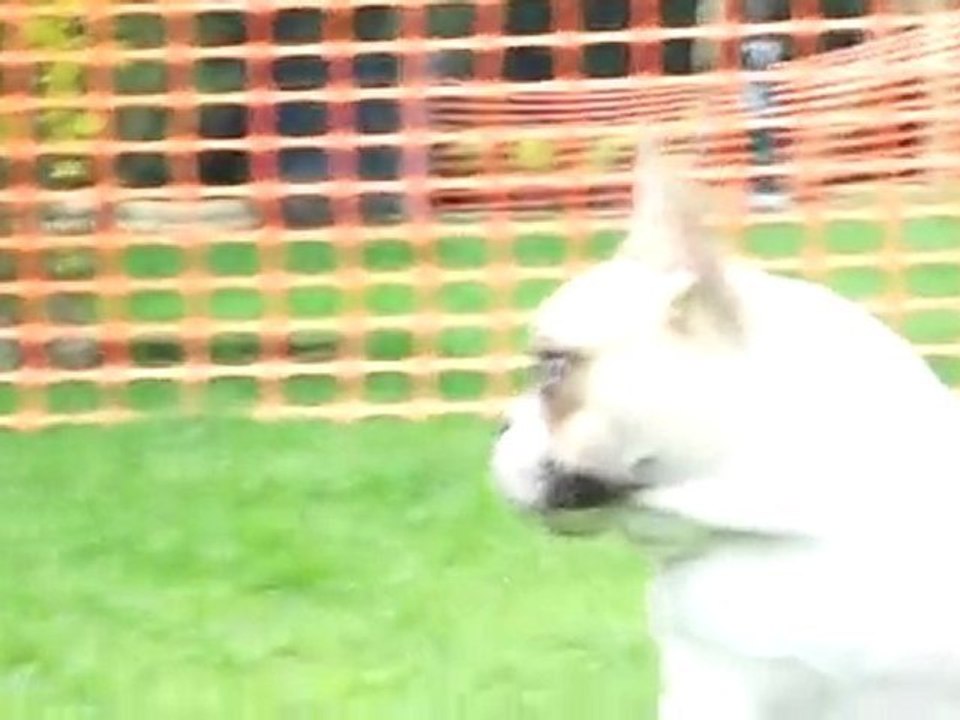 ont profite du soleil...............29 mars 2010