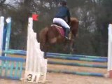 Club Poney Elite ===> Notre chute