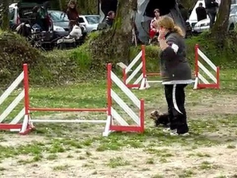 Degré 2° Villeneuve Loubet Bou 28 03 2010