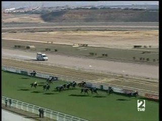 2007.12.16, nº 499 DH (Pñ.Hp El Bucaro, Hand 3ªp) Lady Dora