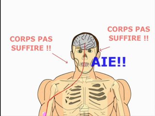Le fonctionnement du corps frappé ne suffit pas.