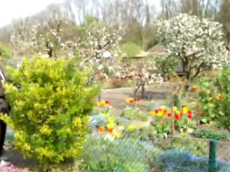 Nedim varol dan Ayvat veTufanbeyliden bahar görünümleri.2009