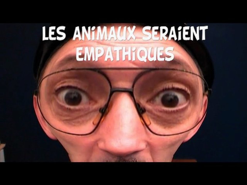 Les animaux auraient de l'empathie