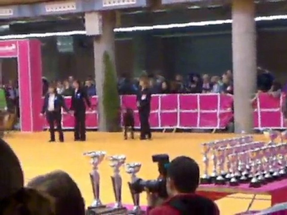 RING D'HONNEUR GIRONA 2010 B'ATHOS DE FASSANO