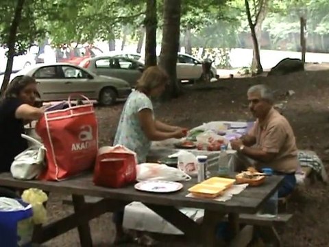 Bolu Yedigöller Doğası Bölüm 1 - Yedigöller Nature Part 1