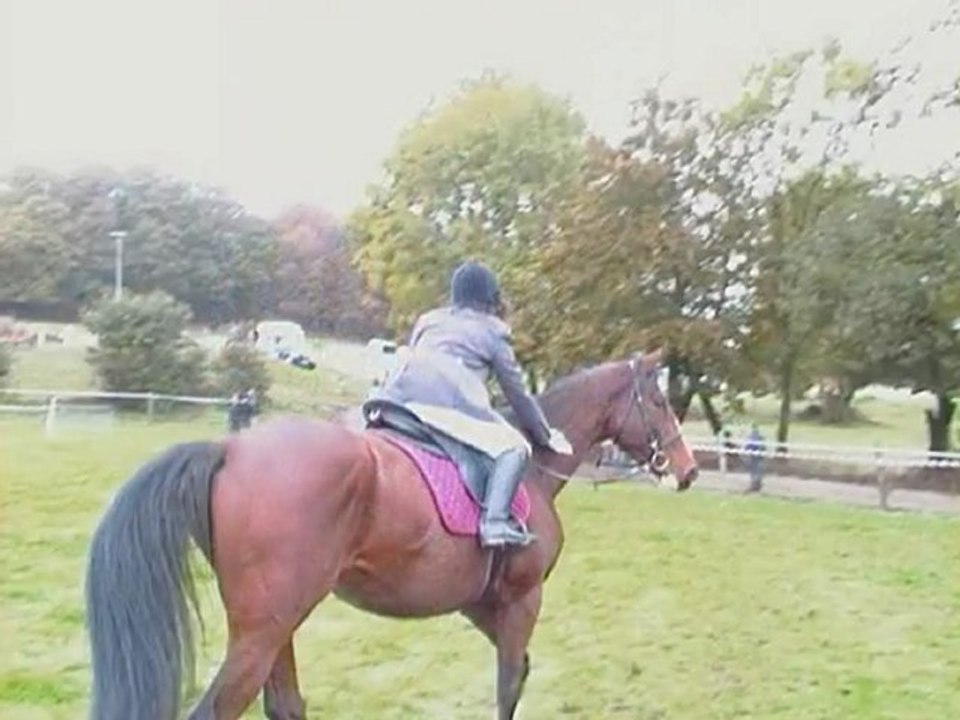 Montage de moi & Pango ='P