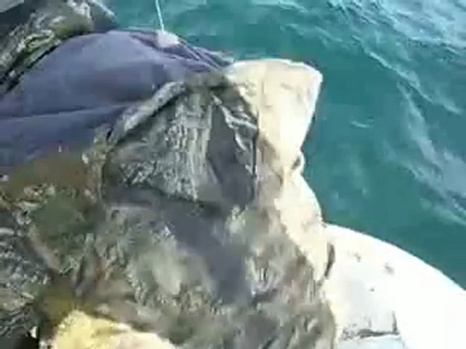 kaçan balık 2