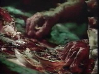 Doctor Who Music Video Part 3