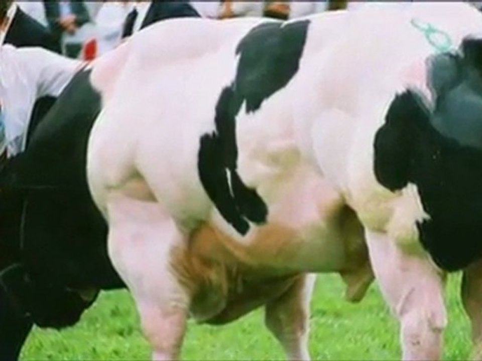 Genexperiment - Zuchtfische mit Sixpack