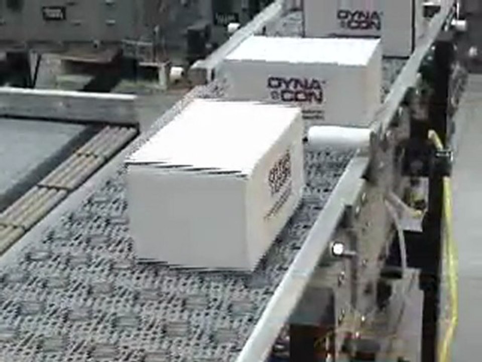 DynaCon Case Turning Conveyor