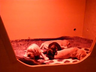 bébés 2 semaines 3