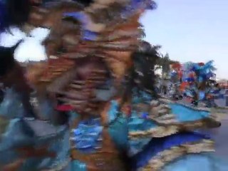 Punta Cana Carnival 2010