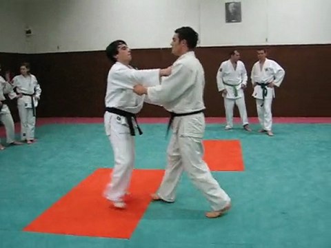 Cours du lundi 29 mars 2010 - Part 3 (SASAE-TSURI-KOMI-ASHI)