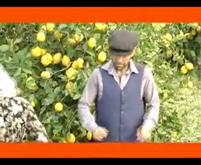 MAAMID EMMİ - 5 dilde limon türküsü.