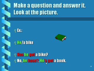 HAVE GOT OR HAS GOT - AHMET AKSAY