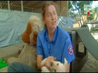 " Douane Sous Haute Surveillance " 15