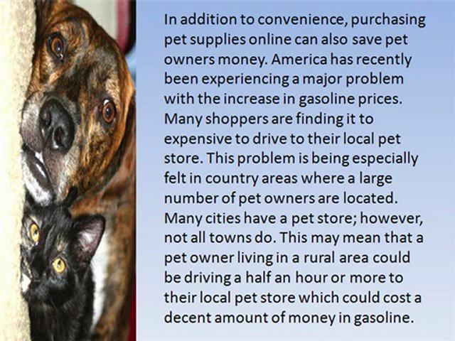Pet Pet Supplies