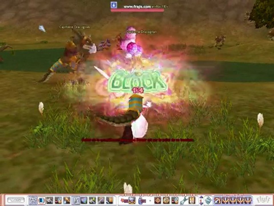 Flyff guilde LaVilleRose & EternalBlackDragon groupe ^^