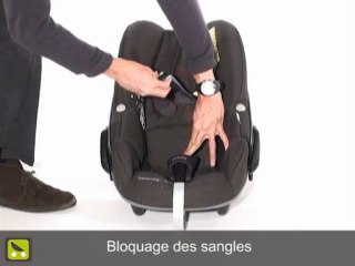 Poussette Magazine : Harnais de la Bébé Confort Pebble