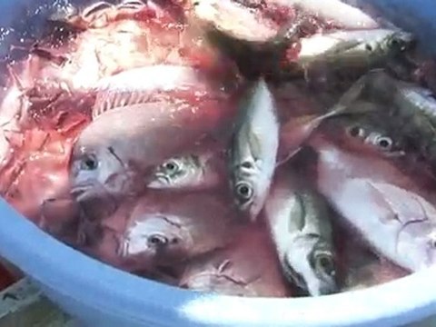 “原発”に揺れる町～上関原発計画・住民たちの27年～(1)