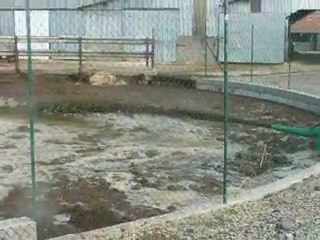 AGI POMPE A LISIER HOULE