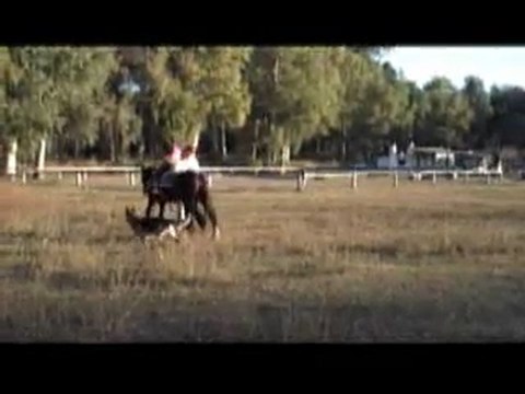 Mission humanitaire Argentine - Thérapie Equestre