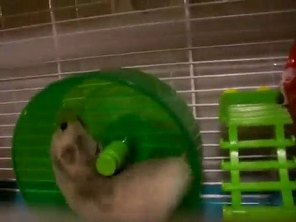crispie