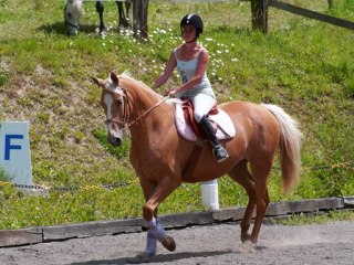 année 2009 - élevage de galicias