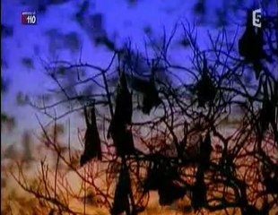 Superscience : Le bouclier invisible de la Terre 3/3