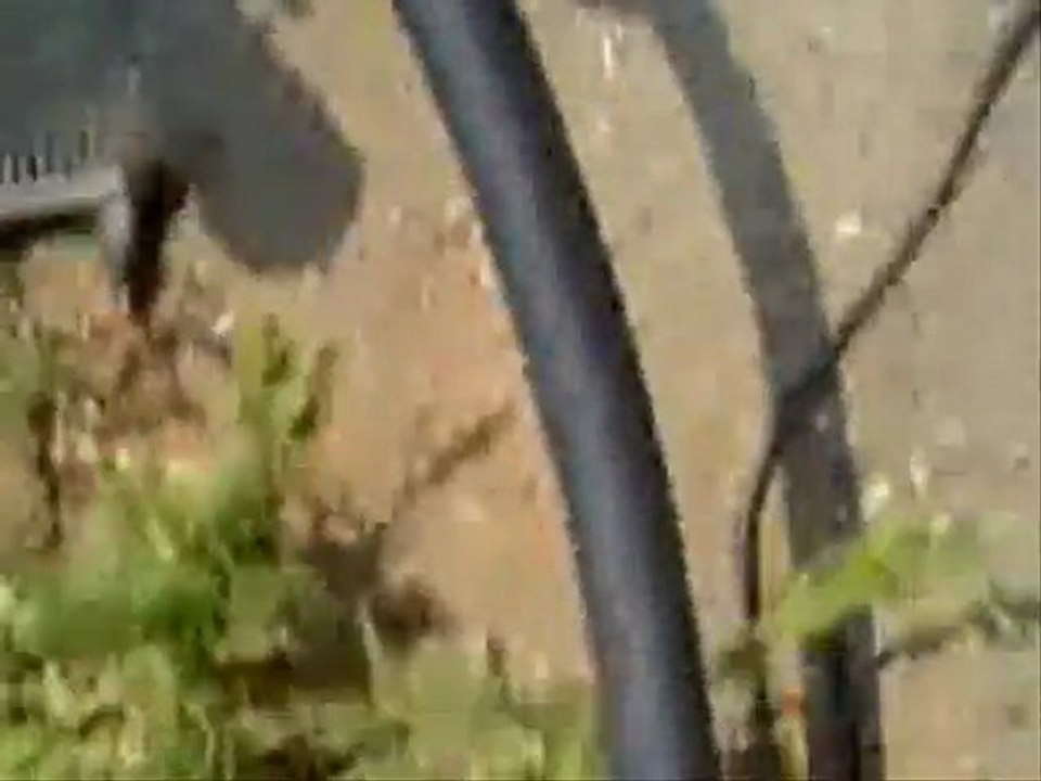 pocket bike prototype fabrication artisanale