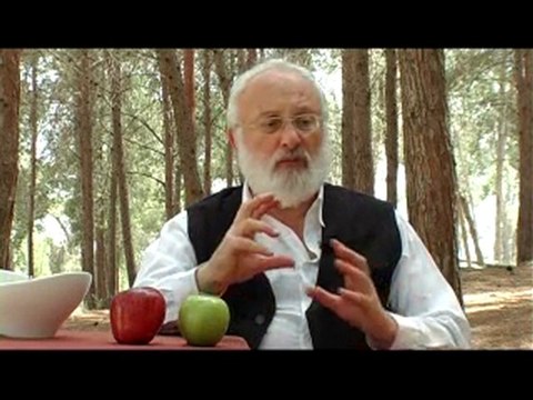 Яблоки (Шаги по пути истины)