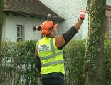 Cairns Tree Surgery - Tree Surgeons in Paisley