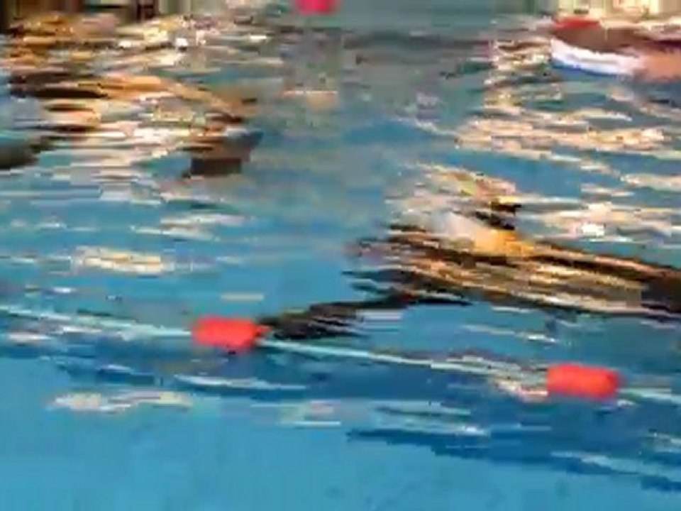 Vincent Cornerotte DNF 100M 28.03.10