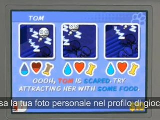 Me and My Dogs Amici per Sempre Nintendo DSi